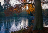 7 December - G...