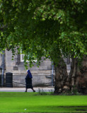 Springtime strolling