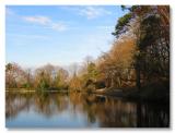 Keston Ponds