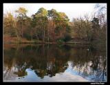 Keston Ponds