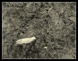 26 Feb- tangled glove