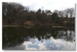 Dull reflections!