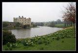 The castle
