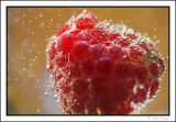 18 July - Fizzy raspberry