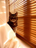 Sunbathing