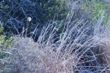 Picture 031.jpg