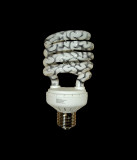 Brain-Bulb.jpg