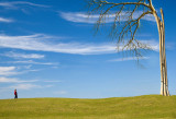 Tree-Castle.jpg