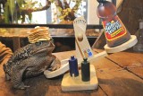 Frog-Cakes.jpg
