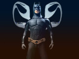 Chrome-Batwings.jpg