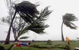 Gusty.jpg