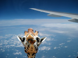 Windowseat.jpg