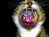 Graffiti-Ball.jpg