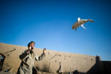 Marine-and-a-duck-O.jpg