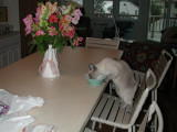 9.  Breakfast at the old shore house.  I do like flowers on the table.