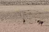 Africa_2009_0282.jpg