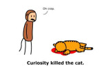 curiosity-killed-the-catWEB.jpg