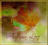 ~Autumn Leaf~