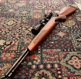 Air Rifle