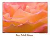 Rose Petal Waves.jpg