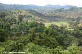 Views over the West Usambaras