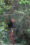 Daan birding the rainforest