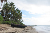 Tropical sceneries at the Tanzanian coast