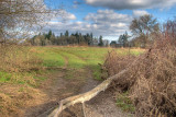 Road Less Traveled - HDR