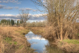 Streamside - HDR