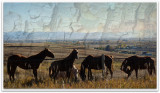 grasses, horses, mountains and sky with texture