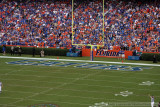 Ben Hill Griffin Stadium- Gainesville, FL