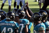 Jacksonville Jaguars huddle