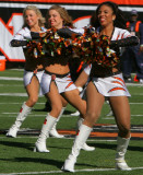 Cincinnati Bengals cheerleaders