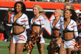 Cincinnati Bengals cheerleaders