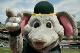 Oakland Athletics mascot Stomper