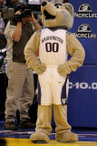 Washington Huskies mascot