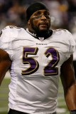 Baltimore Ravens LB Ray Lewis