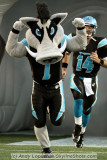 Florida Tuskers mascot