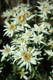 DSC_0108.JPG