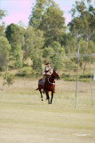 Boer War, WW1,  Light Horse
