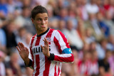 Ibrahim Afellay