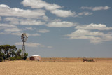 Australian Windmill