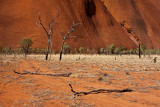 Dead Trees, Uluru