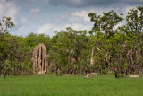 Magnetic Termite Mounds, Litchfield National Park