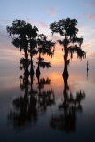 Morning on Louisiana Water