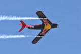 Red Bull in flight