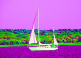 Purple Sailboat