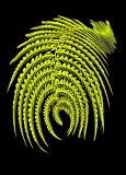 Photoshop Fern