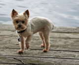 Katie on the dock