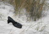 A well protected shoe